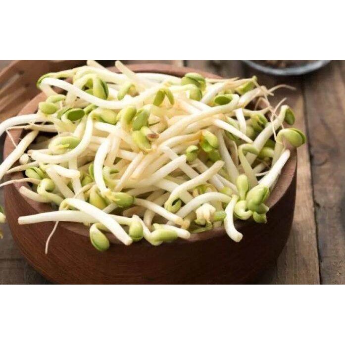 Đỗ xanh chuyên làm giá