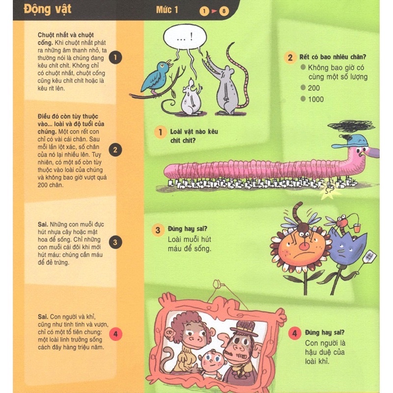 Sách Maxi Quiz Trắc nghiệm toàn diện về Bách khoa tri thức (BÌA VÀNG)