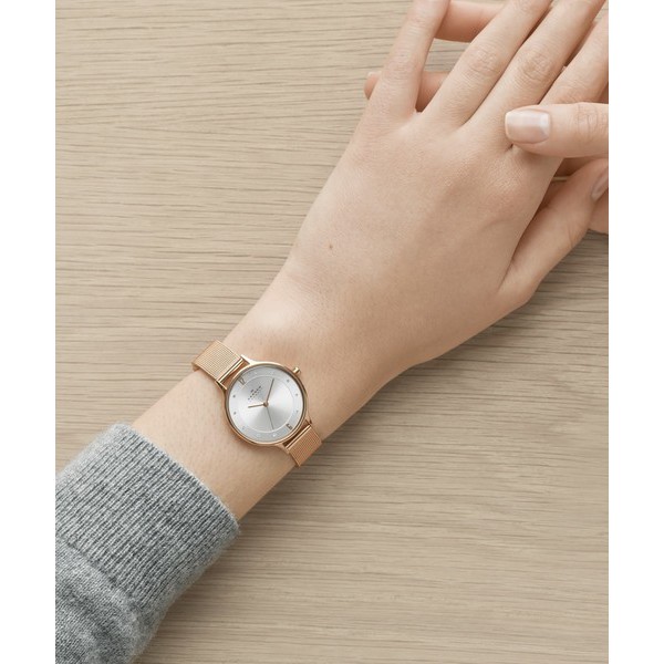 Đồng Hồ Nữ Skagen Anita Rose Gold-Tone / Gold-Tone Steel-Mesh Watch