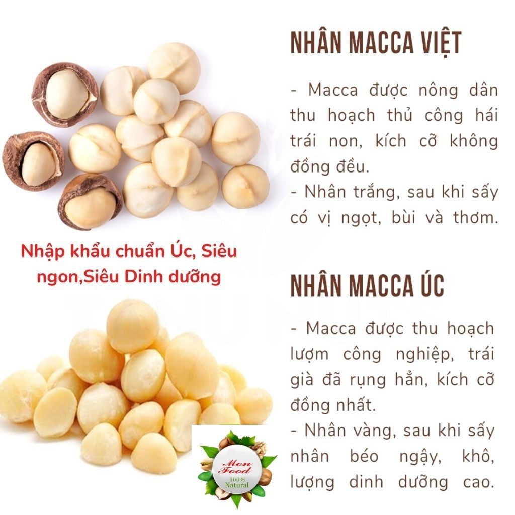 Nhân Macca Cao Cấp Size To, Mẩy, Trắng Thơm, Hạt Macca Tách Vỏ Ngon Giòn, ToFood86