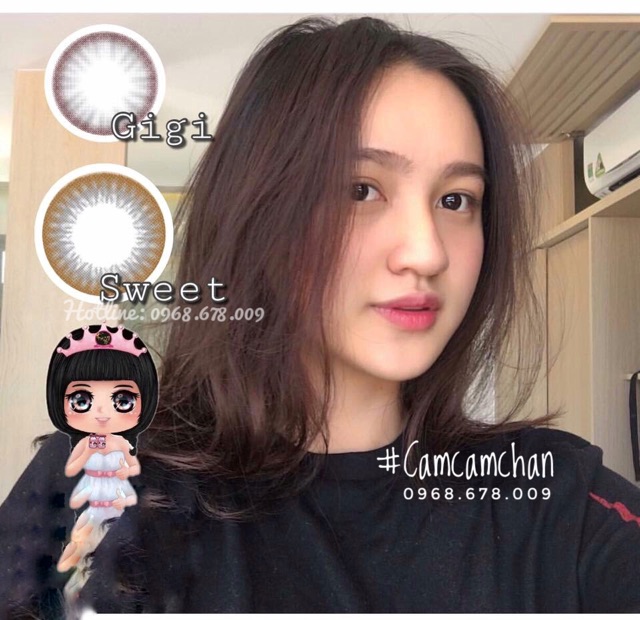 Lens Vassen Hàn Quốc -GiGi GRAY