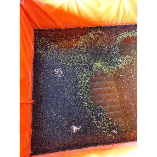 Bể bạt nuôi ốc , ếch , cá , lươn - loại 2x1x1 ( chất lượng loại 2 )