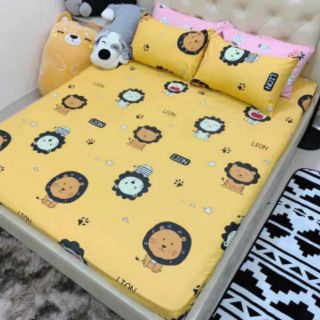 Bộ ga và 2 vỏ gối cotton poly