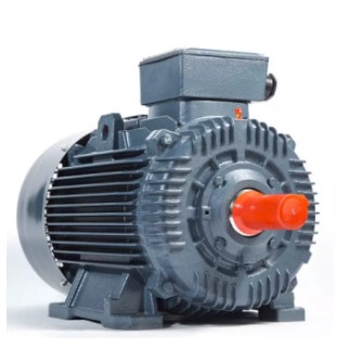 Động cơ điện 3 pha 3hp