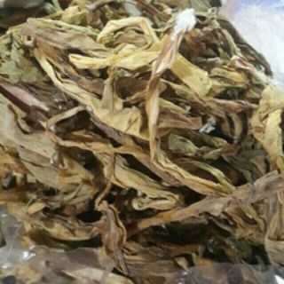 Cây Trinh nữ hoàng cung