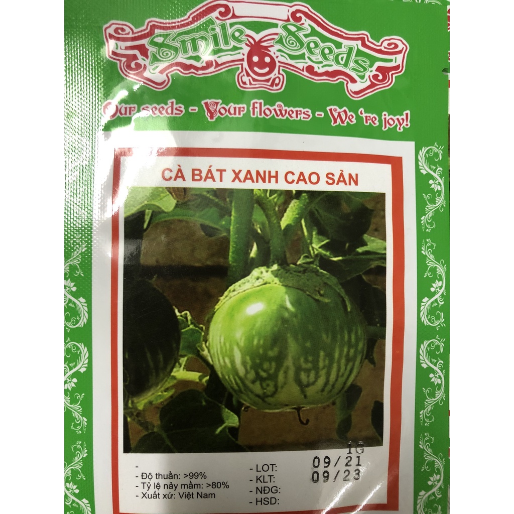Hạt giống cà bát xanh cao sản