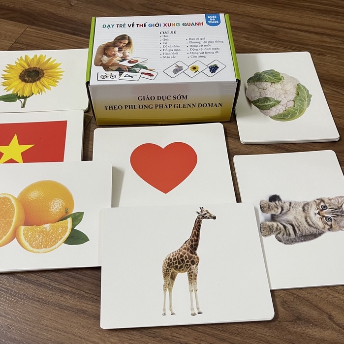 BỘ THẺ THẾ GIỚI XUNG QUANH 300 THẺ  - DẠY BÉ BIẾT ĐỌC SỚM