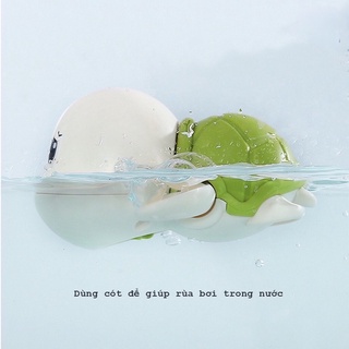 Rùa Con bơi trong nước