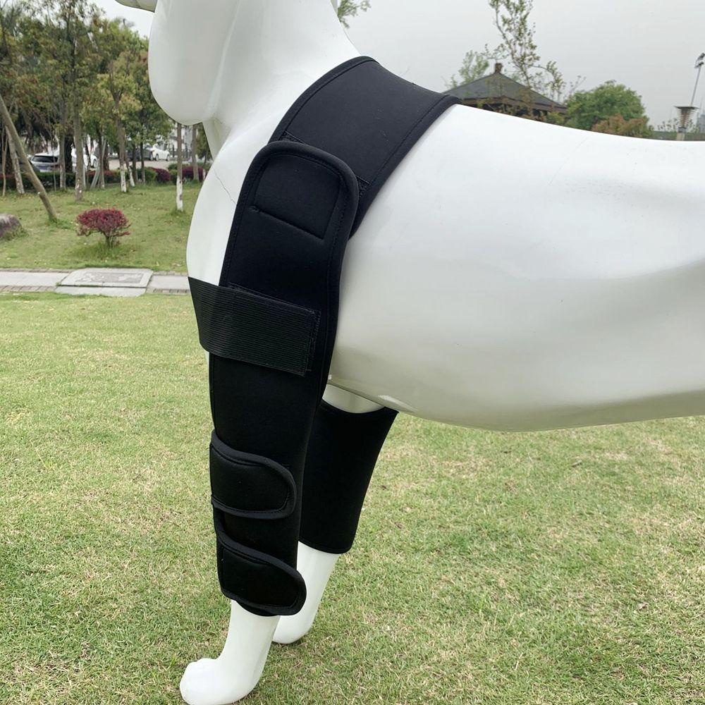 AUGUSTINA Băng Quấn Bảo Vệ Chân Trọng Lượng Nhẹ Thoáng Khí Dành Cho Chó Cỡ Nhỏ / Lớn