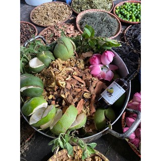 Dầu gội thảo dược bồ kết
