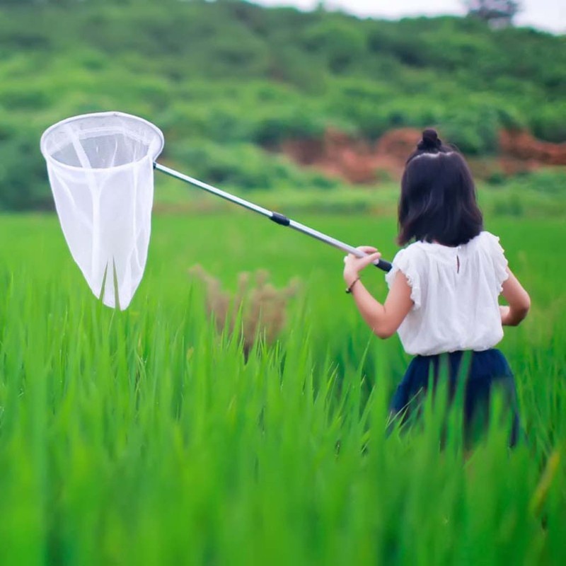 Vợt lưới bắt côn trùng bằng hợp kim nhôm có thể kéo dài và thu gọn lại thích hợp cho hoạt động ngoài trời
