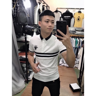 Áo thun cổ nam nhiều mẫu lựa chọn thun cotton loại xịn đẹp cao cấp giá rẻ