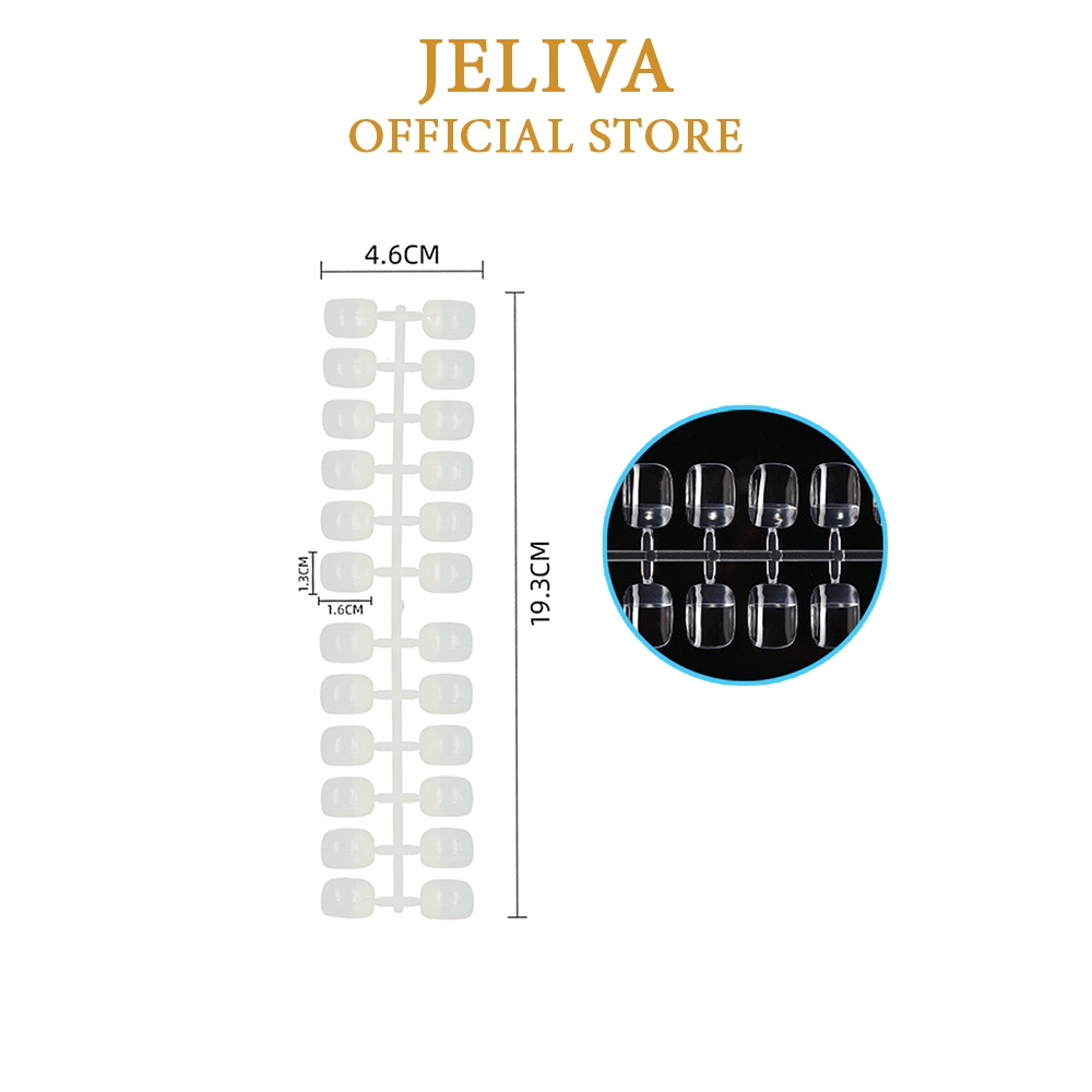 Móng mẫu vuông tập vẽ form Hàn Quốc JELIVA