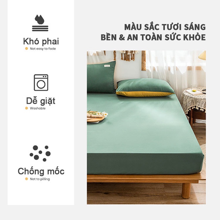 Bộ ga giường Cotton Tici SAGOKER 3 món bọc chun màu trơn phong cách Hàn Quốc đầy đủ size, mã BGC998