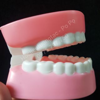 HÀM RĂNG GIẢ | Bé tập đánh răng
