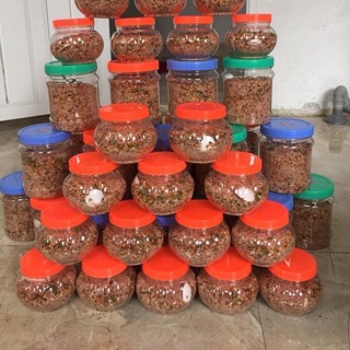 Chẩm chéo tây bắc - lamthang9288