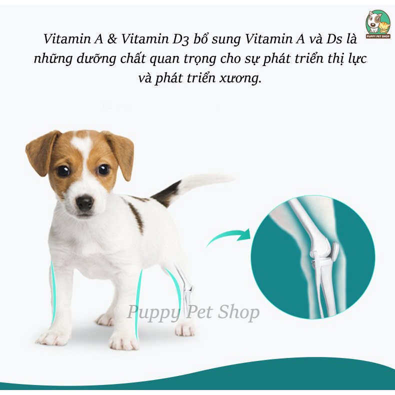 Thạch Pudding sữa dê cho chó và mèo bổ sung canxi, chắc khỏe xương