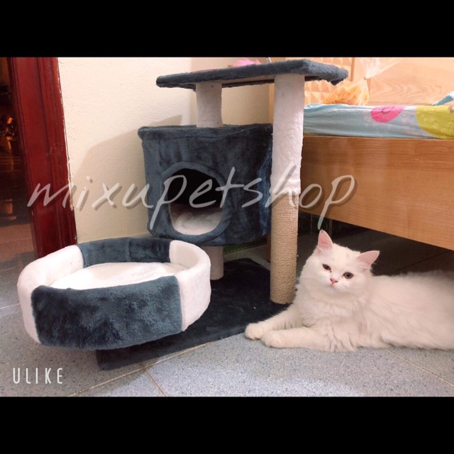 Cattree cho mèo - Trụ cào móng cho mèo 2 tầng size lớn