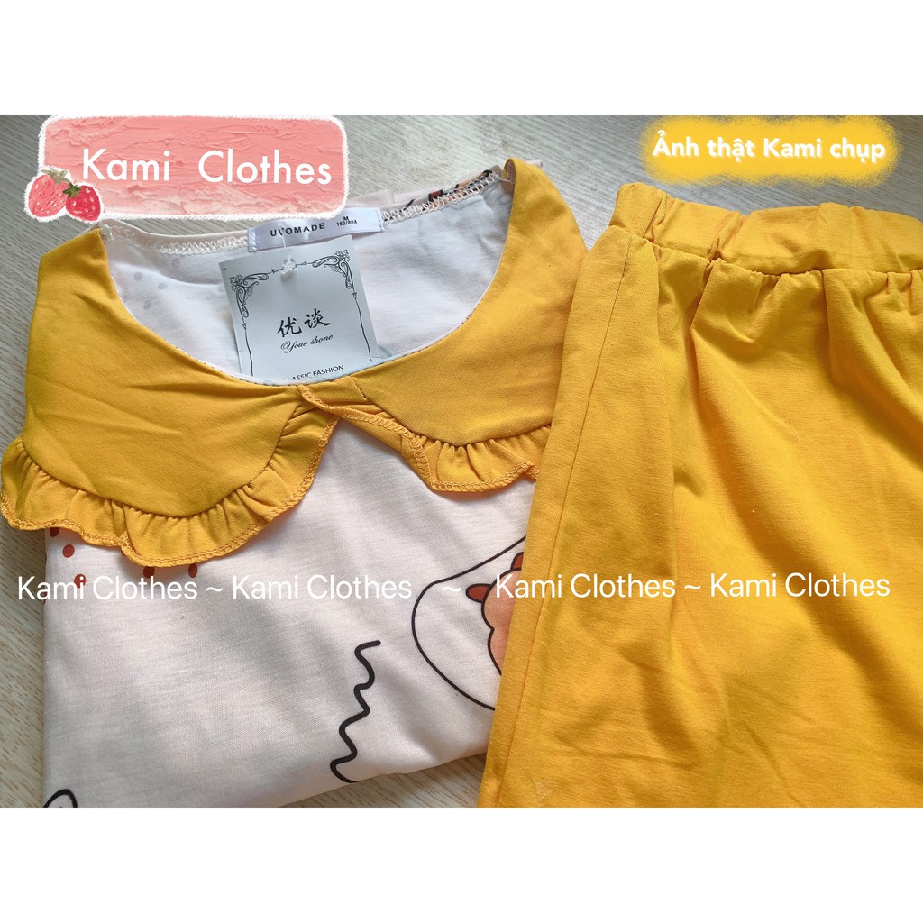 Video/ảnh thật - Bộ đồ ngủ nữ ngắn tay cổ bèo Hàn Quốc, Đồ bộ nữ cộc tay bộ mặc nhà dễ thương - KAMI Clothes | BigBuy360 - bigbuy360.vn