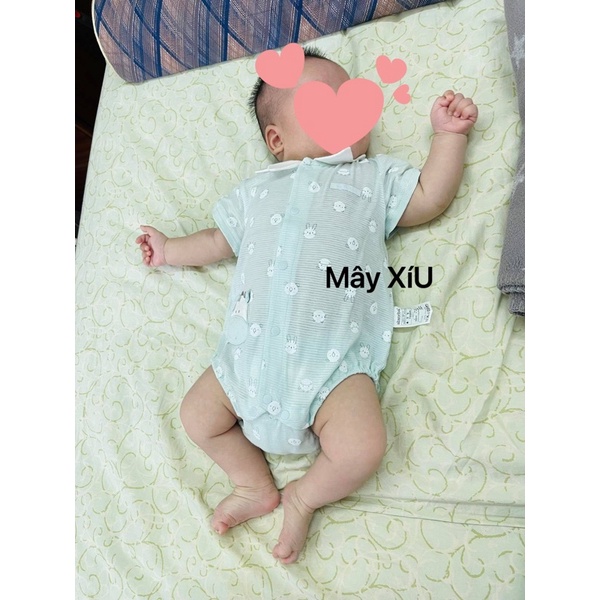 Body chip bé gái, bé trai absorba 61942