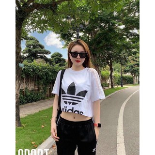 Áo Croptop Das form xuông (đồ tập gym-yoga nữ)