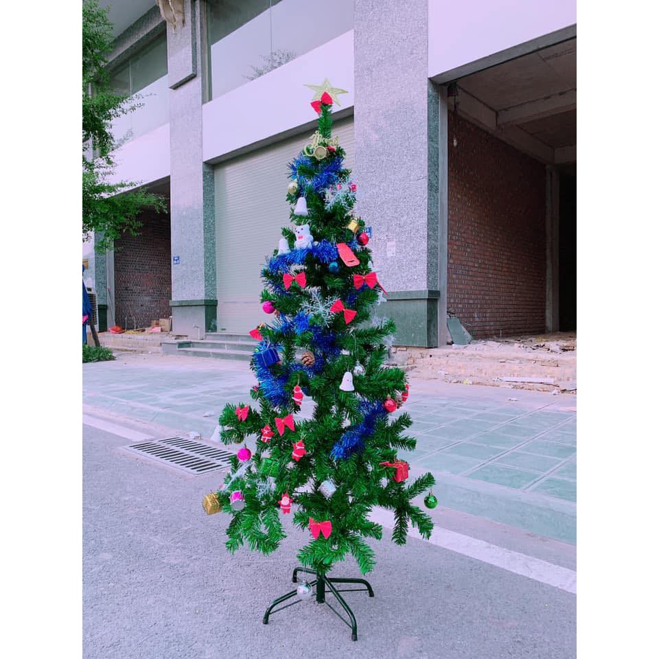 Cây thông Noel