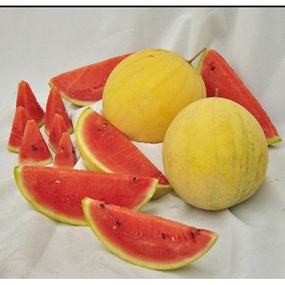 Hạt giống DƯA HẤU VÀNG PHÉP LẠ F1 - Gói 8 hạt