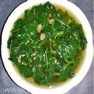 Hạt giống rau mồng tơi - gói 20g