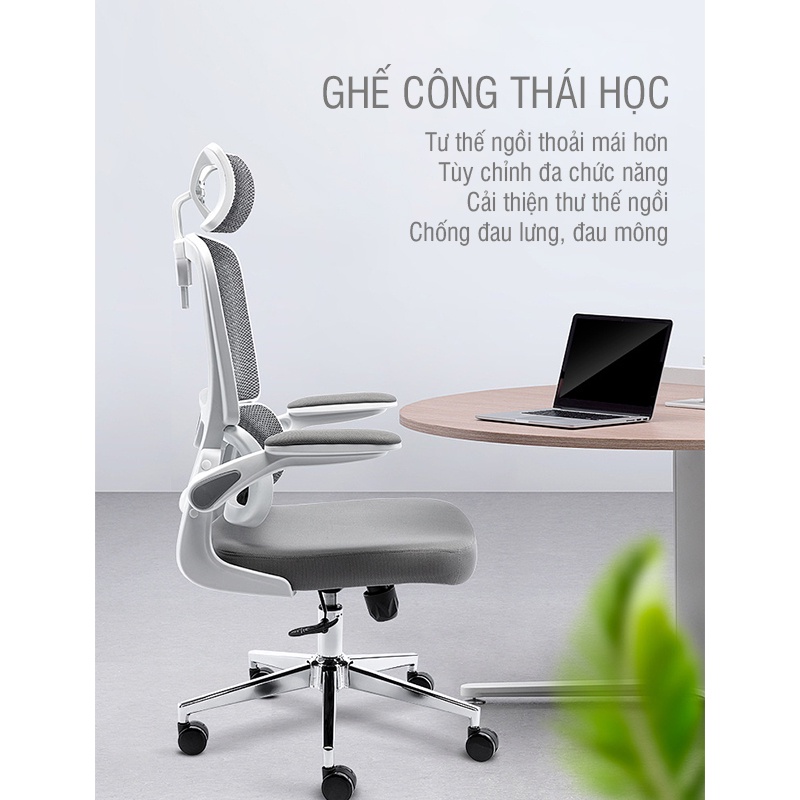 Ghế Công Thái Học - Ghế Văn Phòng Cao Cấp Ergonomic Tùy Chỉnh Đa Chức Năng, Hỗ Trợ Giảm Đau Lưng, Đau Cổ