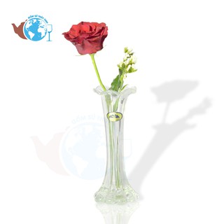 Bình bông lọ hoa thủy tinh 1 cành thanh xuân Xoắn Thẳng LỚN XT>