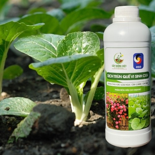 Dịch Trùn Quế Vi Sinh Chai 1Lit, Dịch Trùn Quế Humic , Phân Bón Hữu Cơ Cho Cây Hoa Cây Cảnh - Chai 1000ml