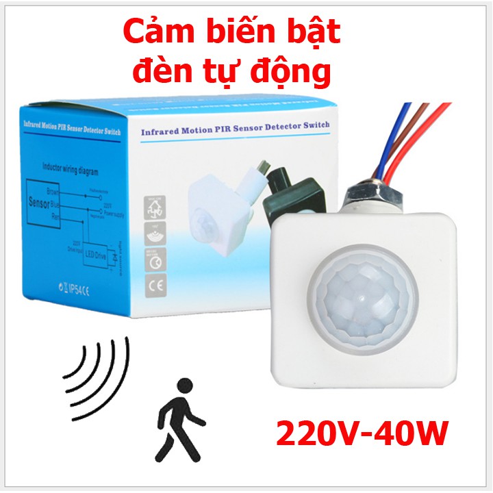 Mặt công tắc cảm ứng chuyển động hồng ngoại, mặt công tắc cảm biến hồng ngoại