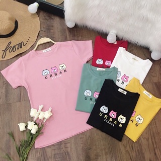 Áo thun Thái gấu nhỏ