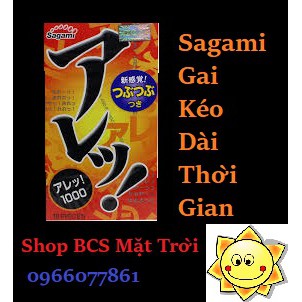 BAO CAO SU NHẬT BẢN CÓ GAI MỊN SAGAMI