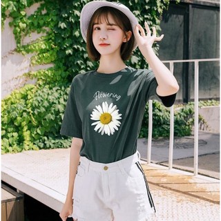 Áo thun hoa cúc cotton mịn mát