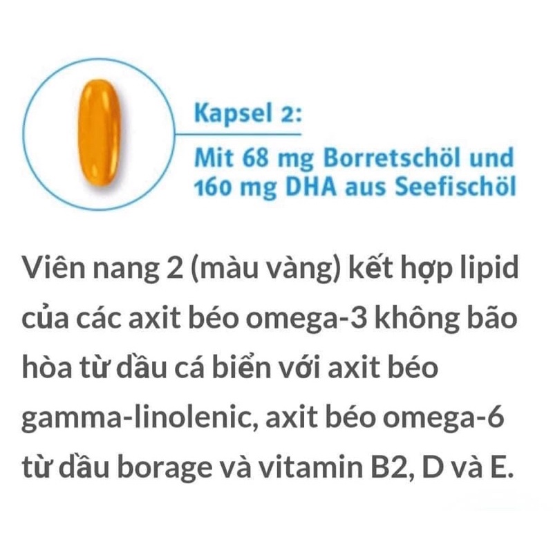 Bổ Mắt Đức Augen Plus 60v