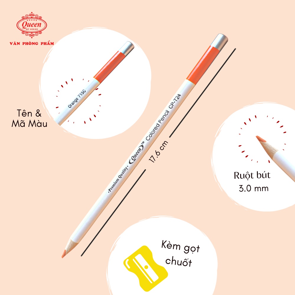 Bút chì màu Queen  12/24 Màu - Chính Hãng - CPT12/24