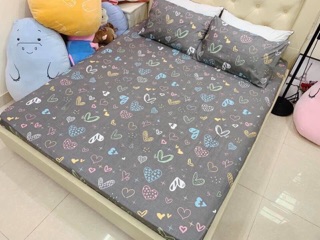 Bộ ga - gối cotton poly