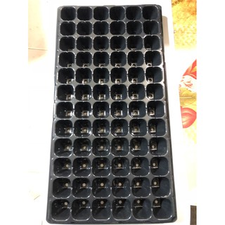 10 khay nhựa gieo ươm hạt giống 72 lỗ nhập khẩu.