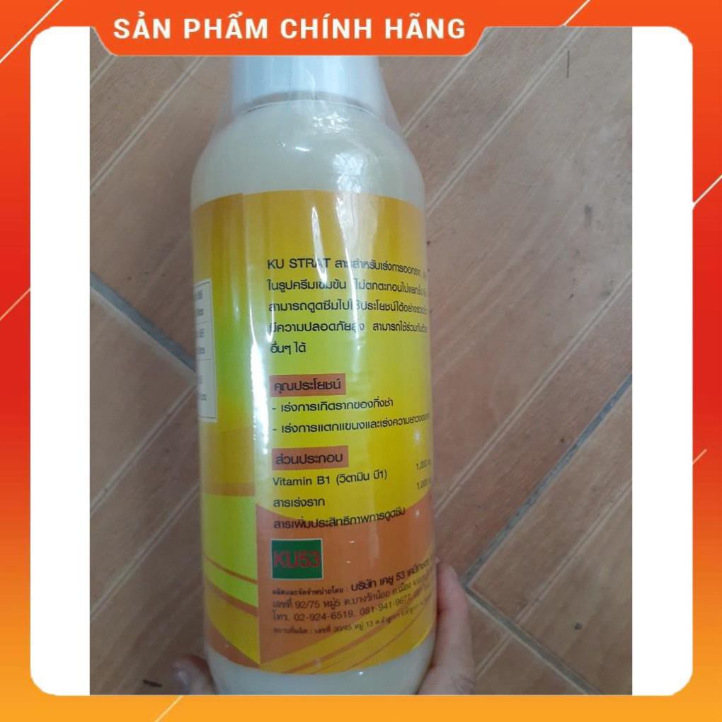 Phân bón lá Vitamin B1 - Thái Lan 1000ml KU- START