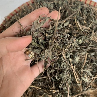 Thảo dược cây Cỏ Mực khô [Nhọ Nồi] khô