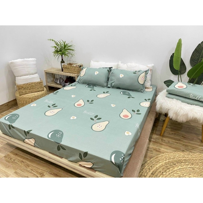 Sét Ga Gối Cotton Poly 3 Món Nhiều Mẫu Mới Nhất 2021