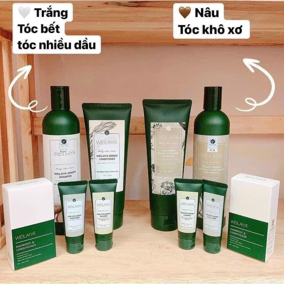 HÀNG NHẬP KHẨU - Cặp dầu gội đầu và dầu xả tóc thảo dược Weilaiya gừng trắng giúp ngăn rụng và kích thích mọc tóc