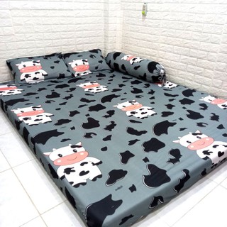BỘ DRAP THUN HÀN QUỐC BÒ SỮA CUTE [ 4 MÓN : 1 GA TRẢI GIƯỜNG, 2 VỎ GỐI NẰM, 1 VỎ GỐI ÔM ].