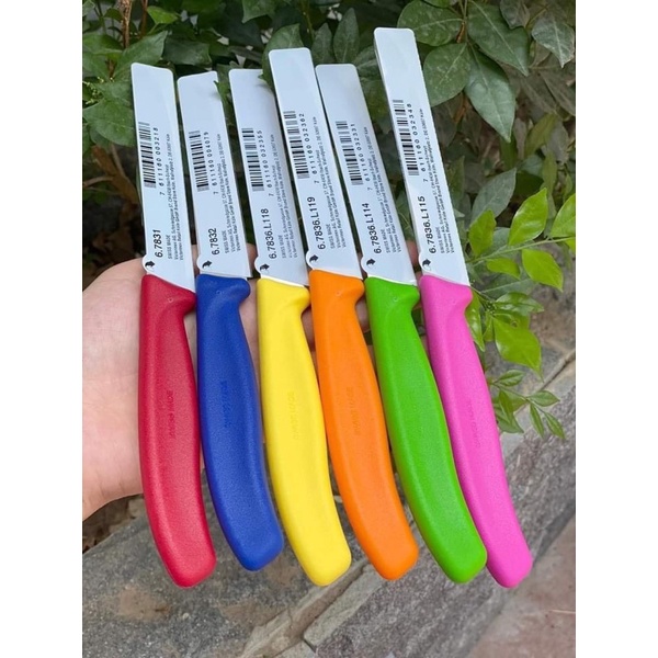 DAO RĂNG CƯA VIC THUỴ SĨ