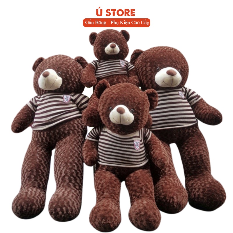 Gấu bông teddy khổng lồ 1m8 | Gấu Bông To, Gối Ôm Hình Thú Teddy Nâu Bự Khổng Lồ Siêu Đáng Yêu