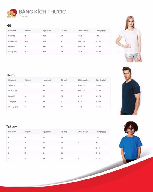 Áo thun nữ cao cấp 100% cotton