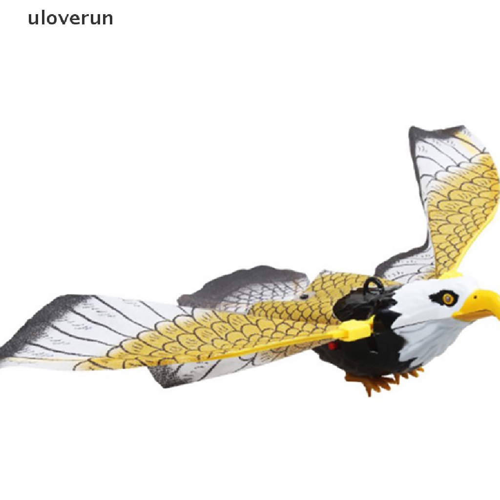 Chim Đại Bàng Bay Phát Sáng Có Nhạc Độc Đáo