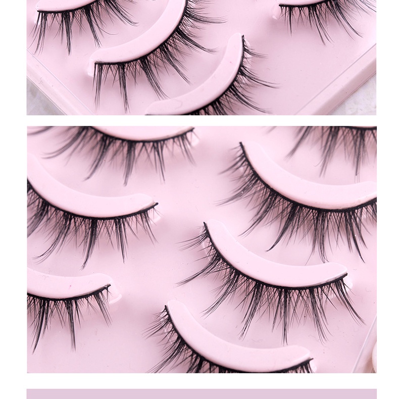 Một hộp 5 cặp mi lụa búp bê siêu đẹp Vỏ Hoa Hồng Sena Beauty