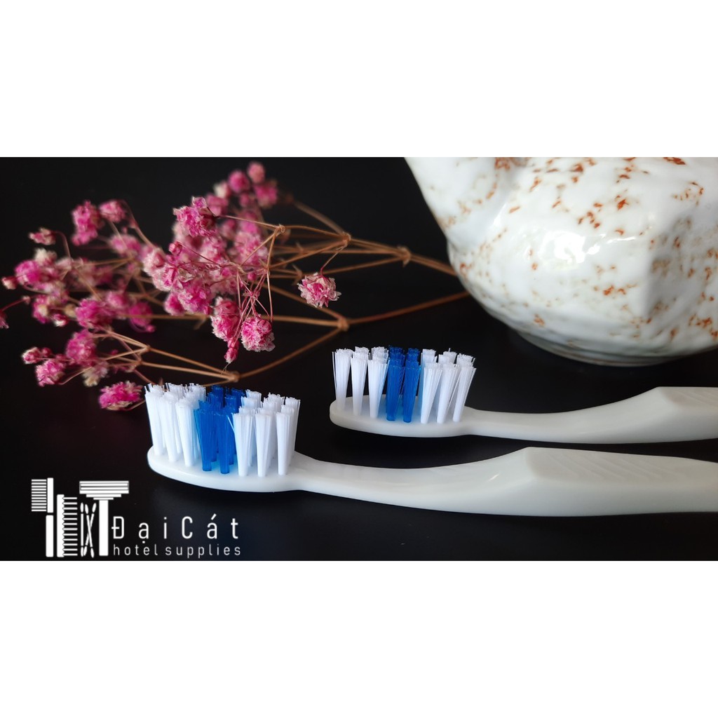 Bàn chải khách sạn -  100 Bộ bàn chải và kem ống CC 3 gam dành cho nhà nghỉ, khách sạn